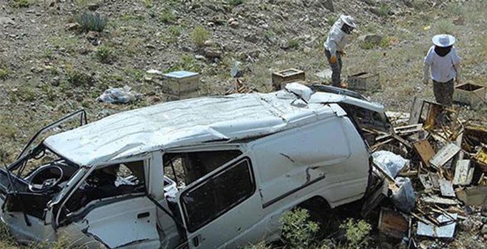 Kaza yapan araca arılar yüzünden müdahale edilemedi
