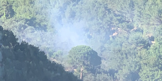 Kazdağı Milli Parkı yakınlarında yangın! Kontrol altına alındı