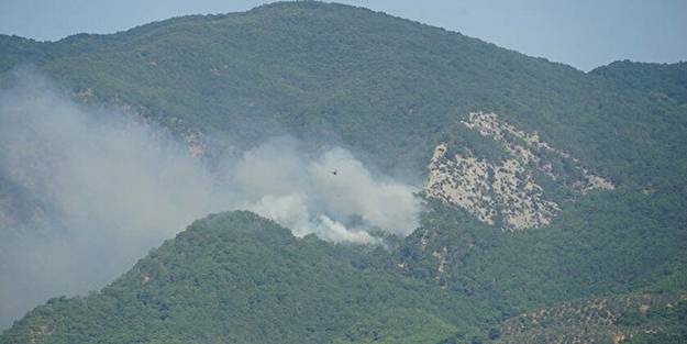 Kazdağları'nda orman yangını çıktı!