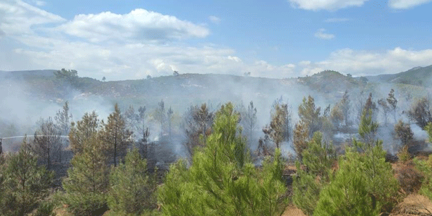 Kazdağları’nda orman yangını