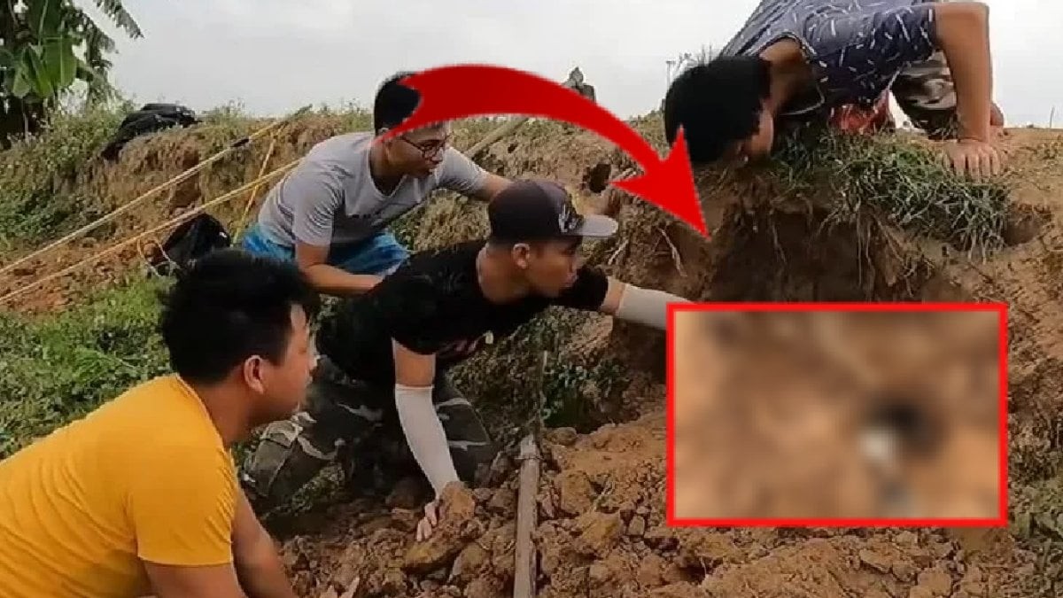 Kazdıkları delikten dev anakonda böyle fırladı! Uzunluğunu görenler dehşeti yaşadı! Tam kış uykusundayken...