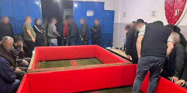 Kazık kadar herfler horoz dövüşünde yakalandı! 673 bin 500 lira ceza kesildi