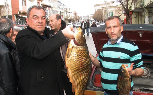 Kebap diyarında geçimlerini böyle sağlıyorlar!