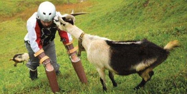 Keçi olmaya karar veren adam herkesi şaşırttı