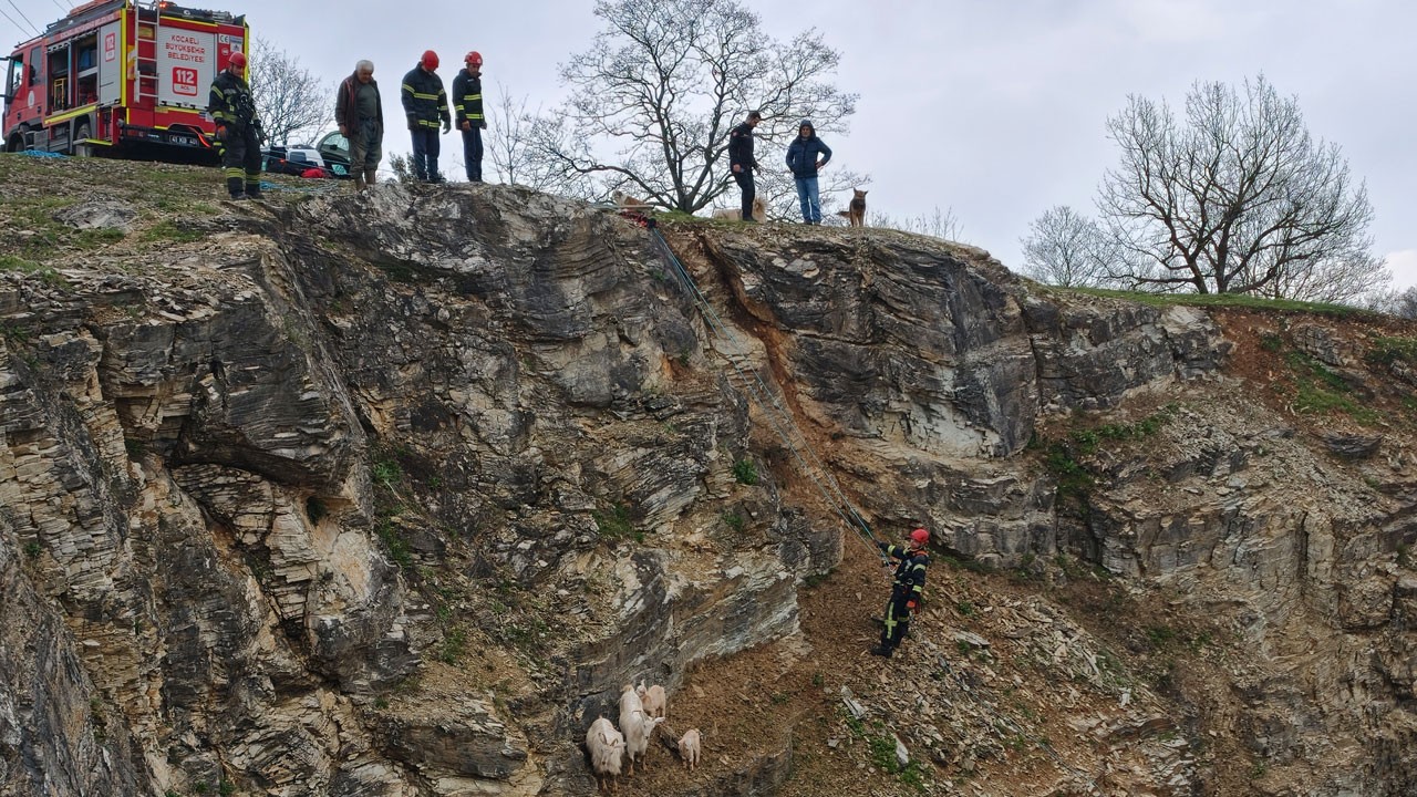 Keçiler uçurumda mahsur kaldı! 3 saatlik kurtarma operasyonu