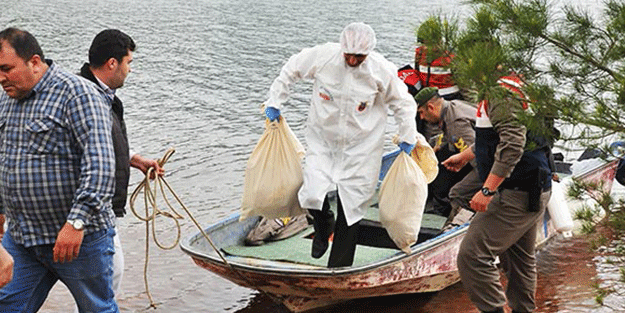 Keçisini ararken kadın cesedi buldu!