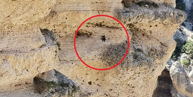 Keçisini kurtarmak için 70 metre tırmandı, kendisi mahsur kaldı!