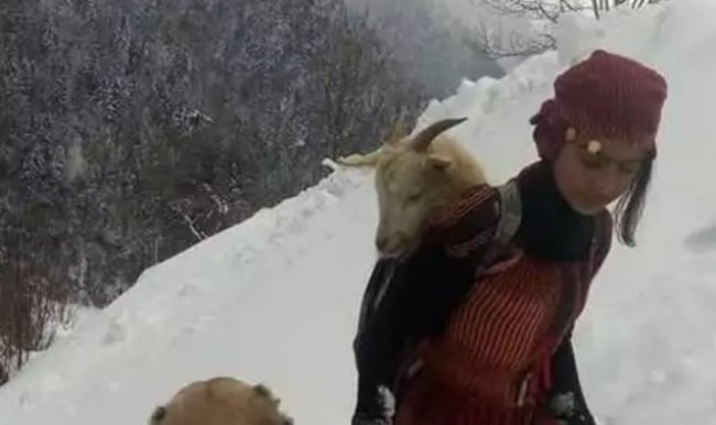 Keçiyi kendi, oğlağı köpeğinin sırtında taşıyor