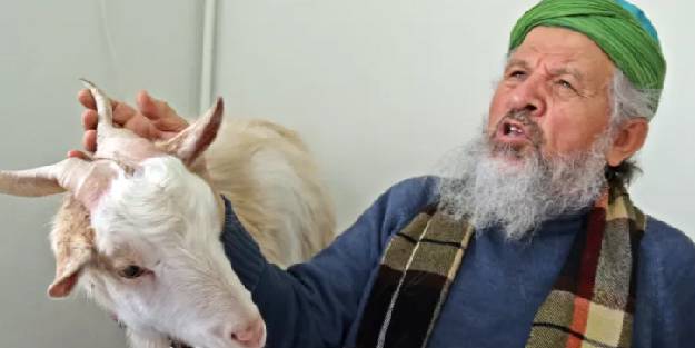 Keçiyle yaşayan adamdan ilginç sözler