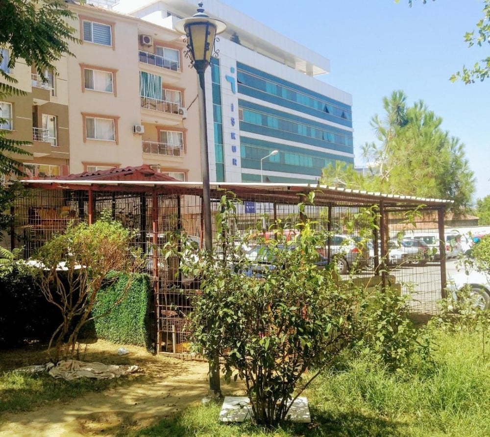 Kedi evinin onarımını yaparak ceza almaktan kurtuldu 