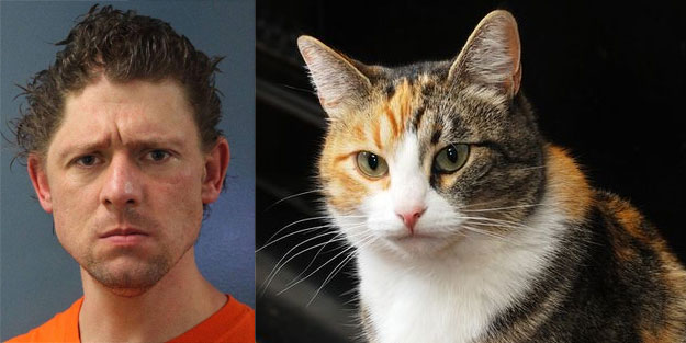 Kedi katiline 4 yıl hapis