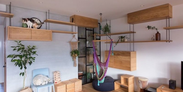 Kediler için tasarlanan muhteşem daire