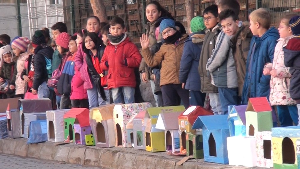 Kediler üşümesin diye 150 adet kedi evi yaptı 