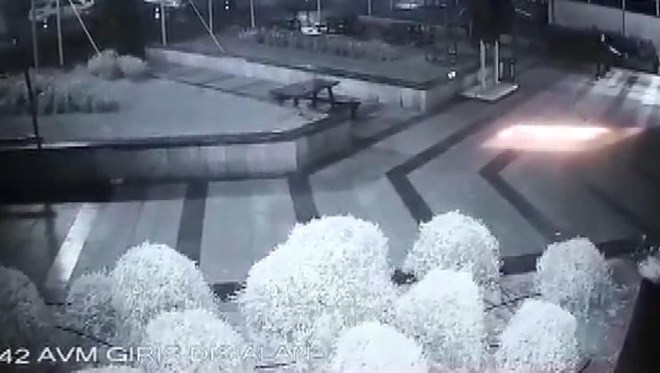 Kedilere kötü muamele yapan kişinin akıl sağlığı incelenecek