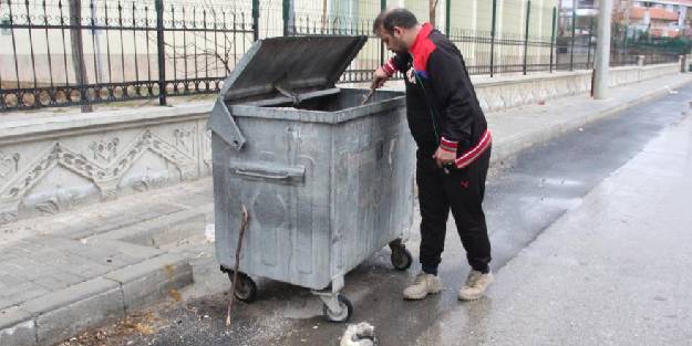 'Kedilerin derisini yüzdüler' ihbarına giden polis...