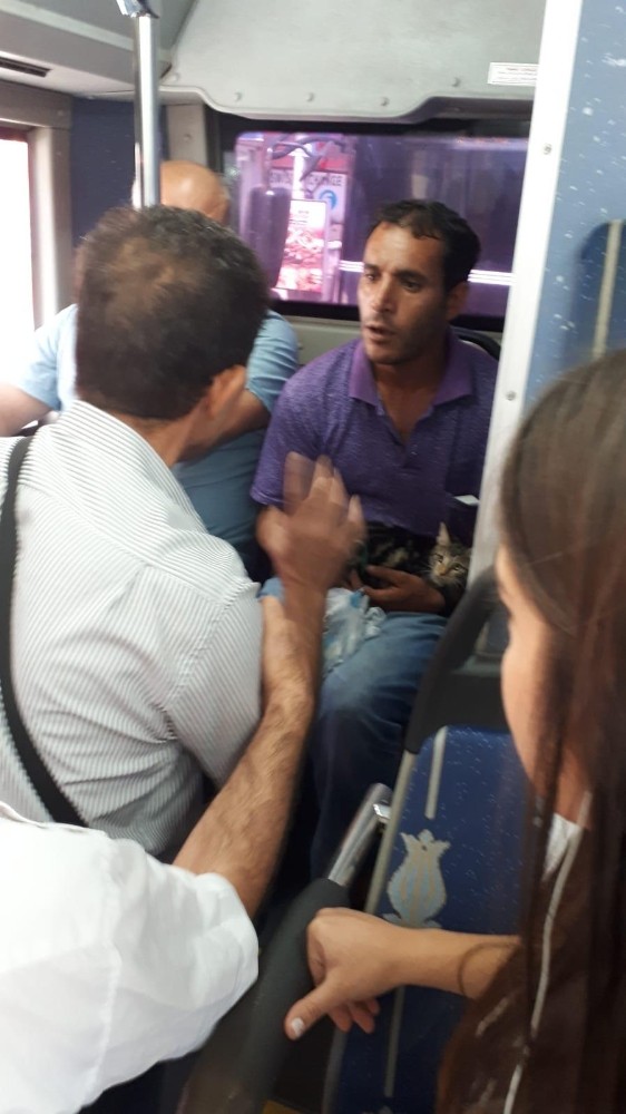 Kedinin ayaklarını bağlayıp kemerine asan yolcuya tepki 
