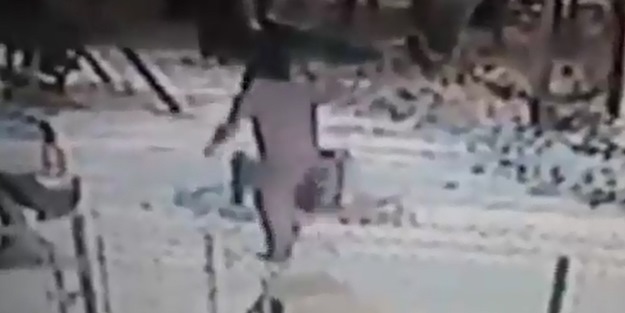 Kedinin kadından intikamı ağır oldu