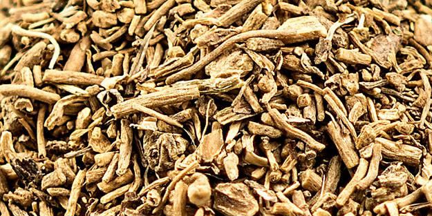 Kediotu strese, psikolojiye, uykusuzluğa iyi geliyor: Avrupa ve Asya ülkesi peşine düşüyor! Adeta psikolojik danışman