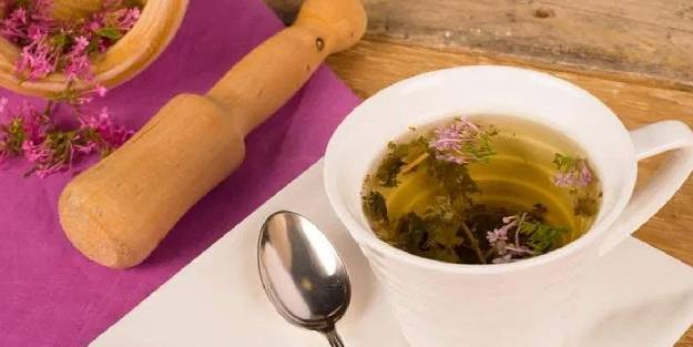 Kedi otu faydaları: Strese, psikolojiye, uykusuzluğa iyi geliyor