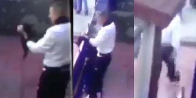 Kediye işkence etmişti! Hükümetten beklenen hamle geldi