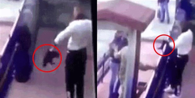 Kediye işkence yapmıştı... Şimdi de polise saldırdı!