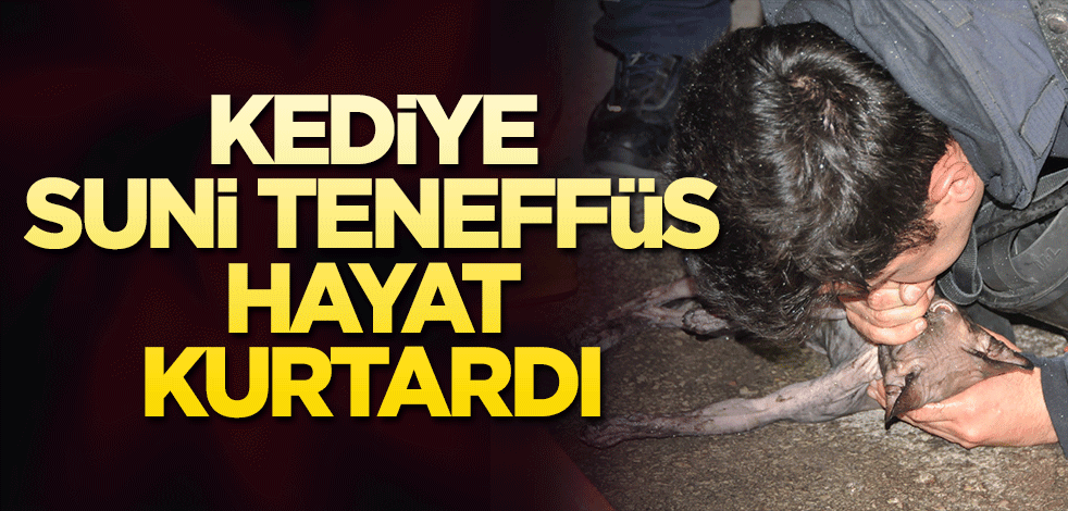 Kediye suni teneffüs hayat kurtardı