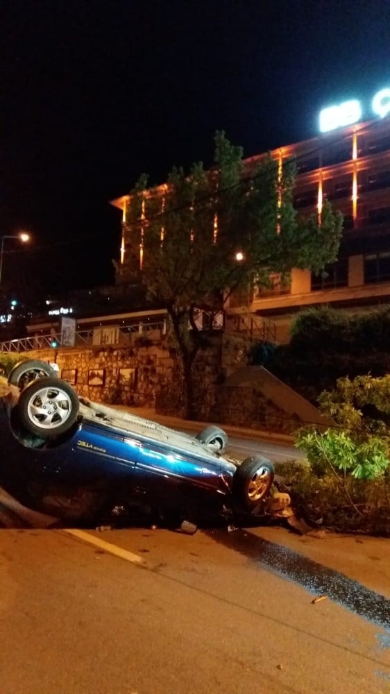 Kediyi ezmemek için ağaca çarptı 