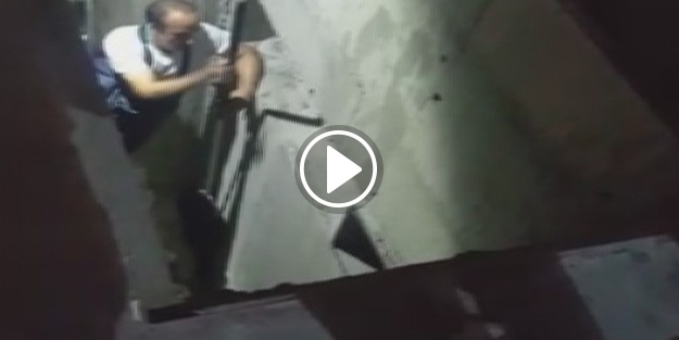 Kediyi kurtarmak için canını hiçe saydı!