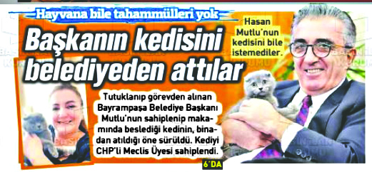 Kediyi, tabloyu bırakın, hırsızlığı anlatın