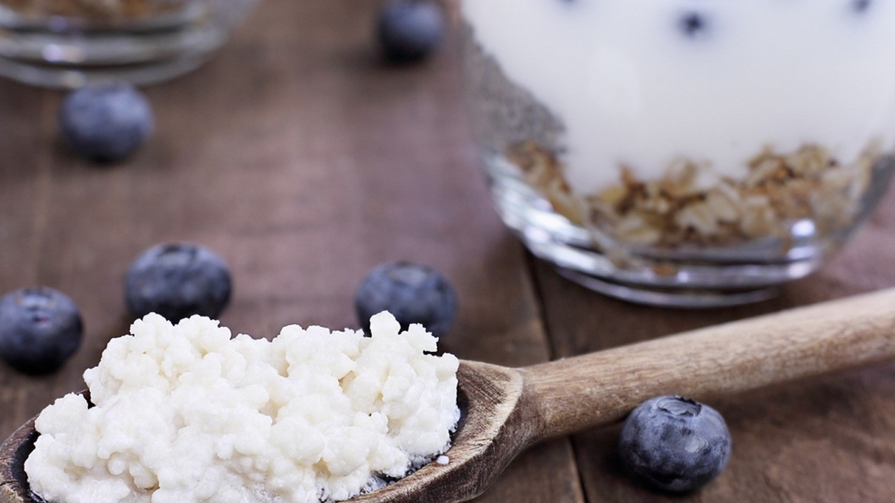 Kefir mayası nasıl yapılır, saklanır, çoğaltılır? Tarifi nasıl yapılır? böyle deneyin