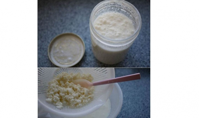 Kefir tüketimi diş sağlığını etkiliyor!
