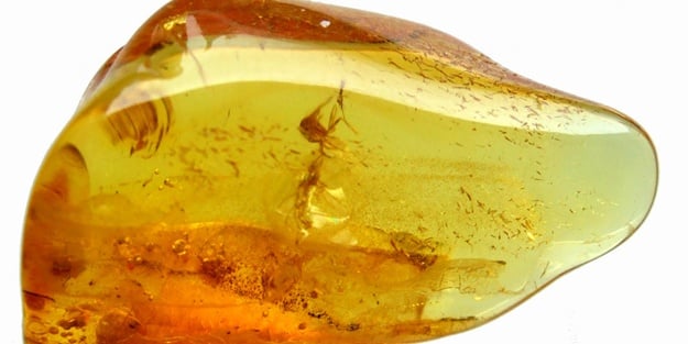 Kehribar tozundaki şifa