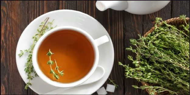 Kekik çayının sağlığa 9 faydası