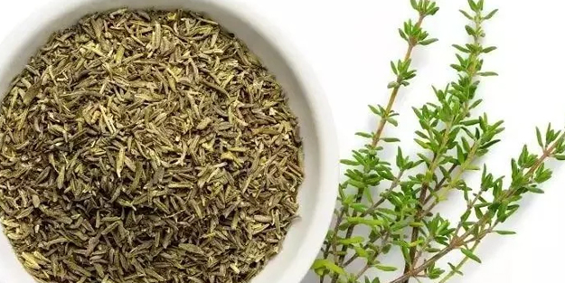 Kekik: Sorunları bitirmeye bir tutam yeter!