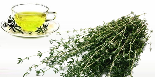 Kekik suyu nasıl tüketilir?