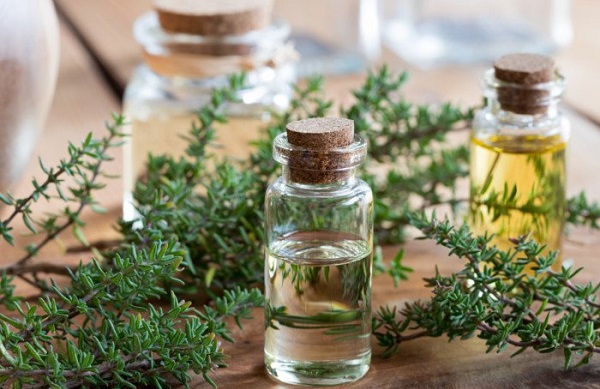 Kekik yağı ne işe yarar? | Kekik yağı neye faydalı?