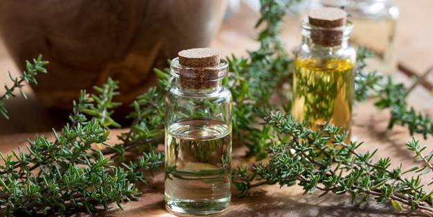 Kekik yağının faydaları saymakla bitmiyor! Soğuk algınlığına birebir