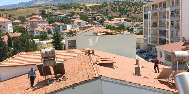 Kekliği çatıda kovaladılar