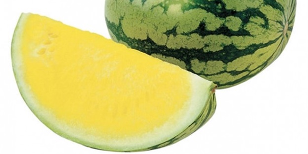 Kelek karpuz sanacaksınız ama değil!