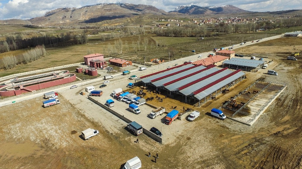 Kelkit hayvan pazarı kapatıldı 