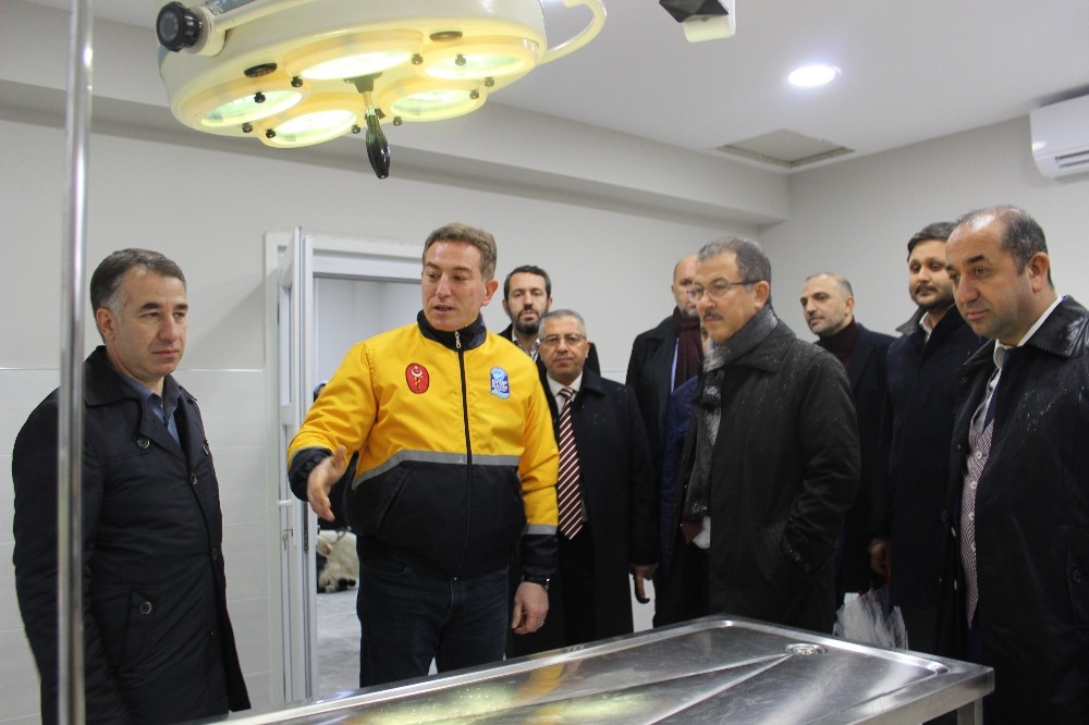 Kemerburgaz Sokak Hayvanları Rehabilitasyon Ünitesi açıldı 