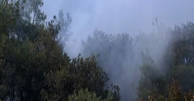 Kemerburgaz’da ormanlık alanda korkutan yangın