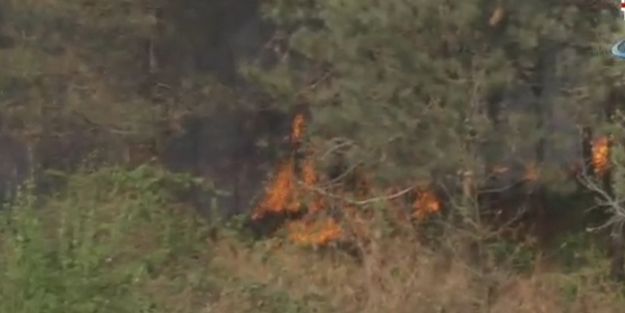 Kemerburgaz'da yangın!