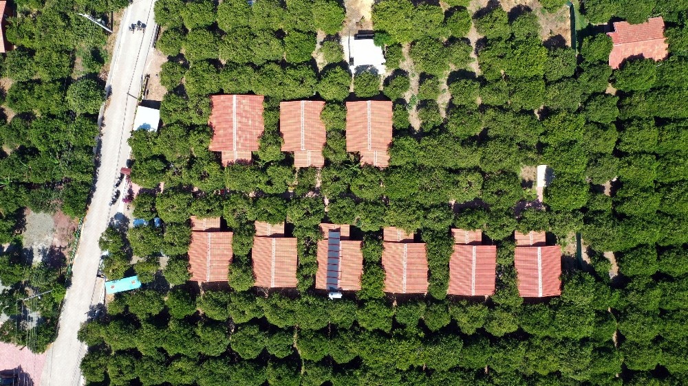 Kemer’de kaçak yapıya taviz verilmeyecek 