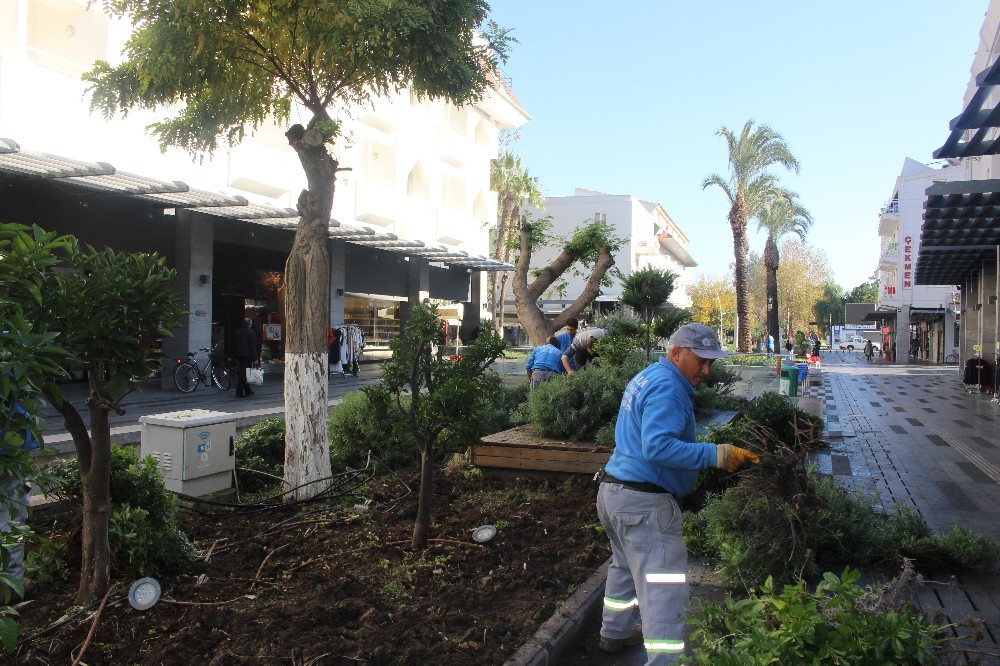 Kemer’de peyzaj çalışması 