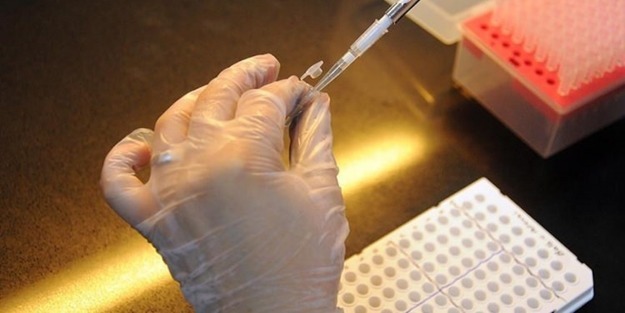 Kemik hastalıklarına karşı güzel haber