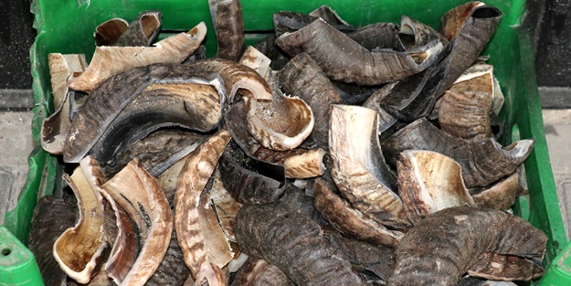 Kemik tarakçılığını yaşatmaya çalışıyor