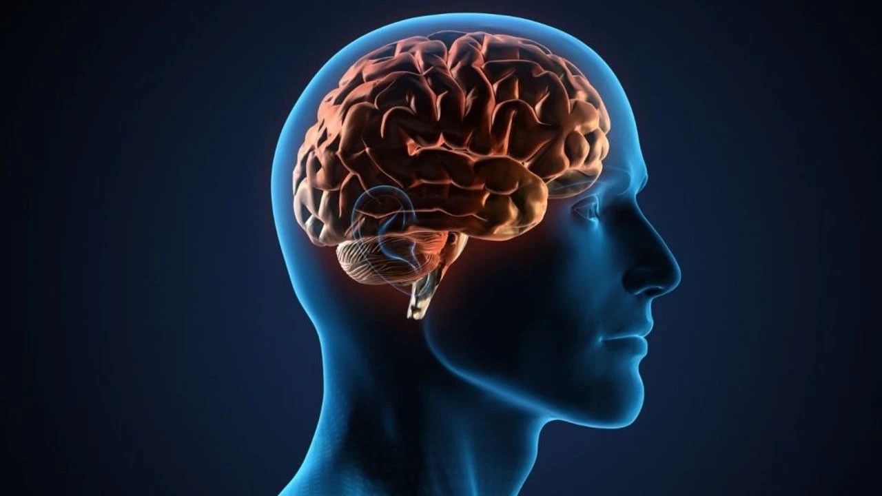 Kendi adınızı duyduğunuzda beyninizde neler oluyor? Uzmanların verdiği mesaj