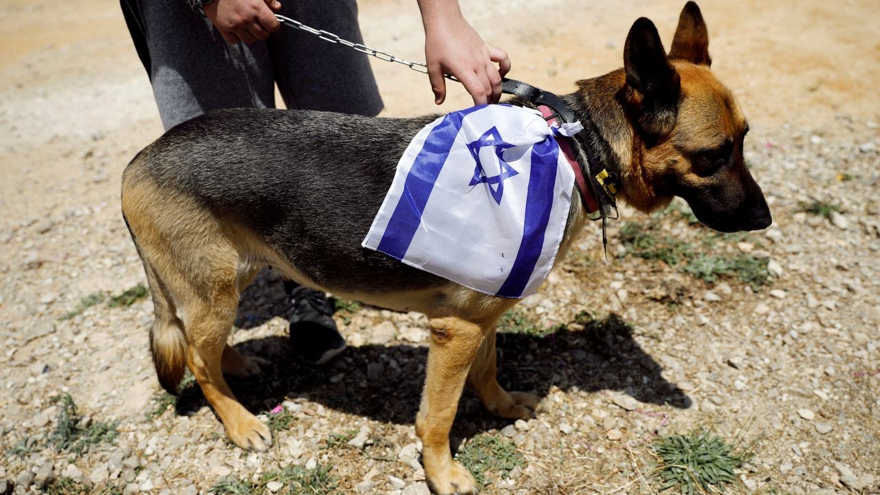 Kendi aslanlarını öldürenler, düşmanlarının köpeklerine yem olurlar! O Müslüman ülkeler İsrail'in köpeği mi oldu?