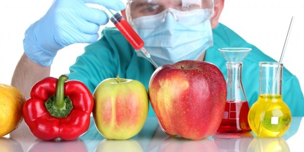 Kendi insanını değil GDO şirketlerini koruyan bürokratlar siyaseti kuşatmış durumda!